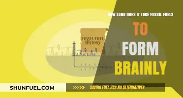Understanding the Timeframe for Fossil Fuel Formation: A Comprehensive Guide