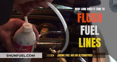 Fuel Line Flush: Time to Clean or Replace?