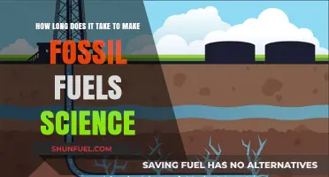 Understanding the Timeframe: Fossil Fuel Formation and Scientific Insights