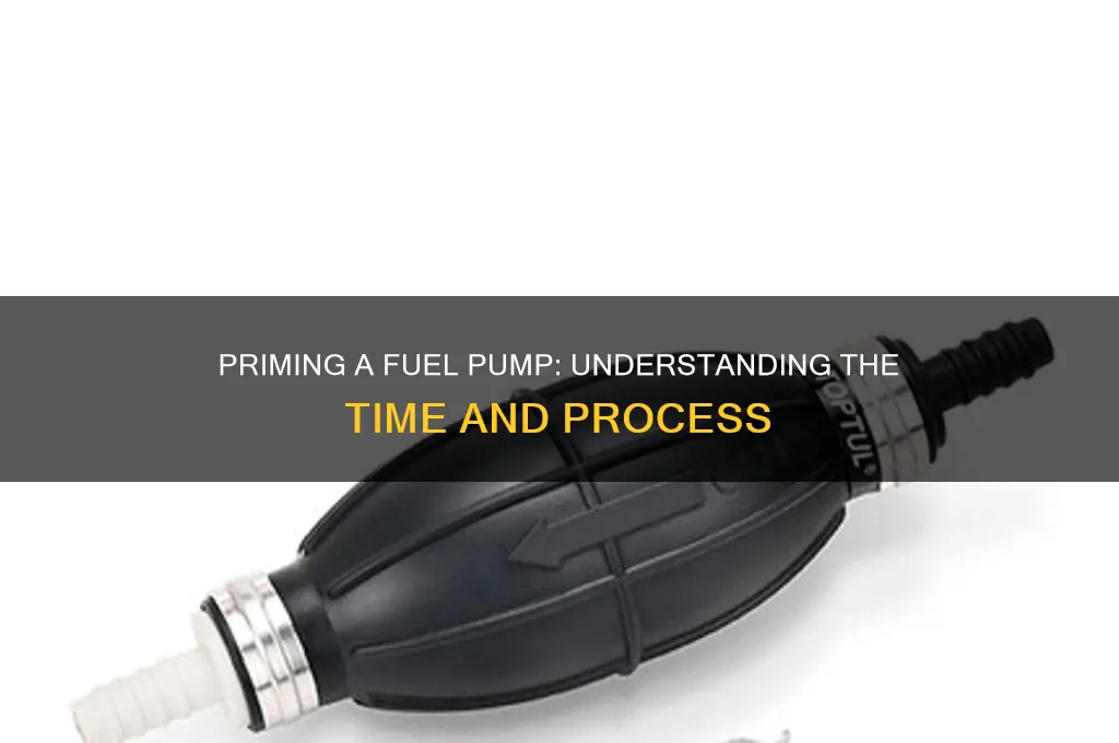 how long does it take to prime a fuel pump