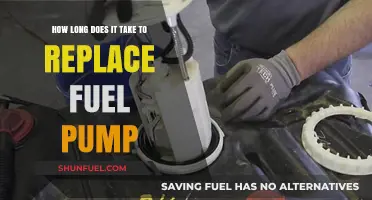 Fuel Pump Replacement: Time to Speed Up or Slow Down?