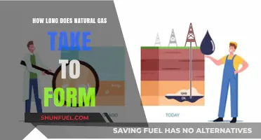 The Ancient Genesis of Natural Gas: A Geological Timeframe