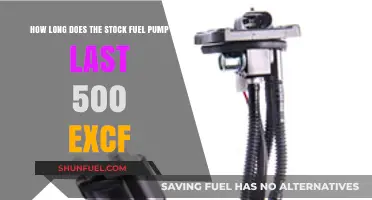 Stock Fuel Pump Lifespan: Durability Insights for 500 EXCF Models