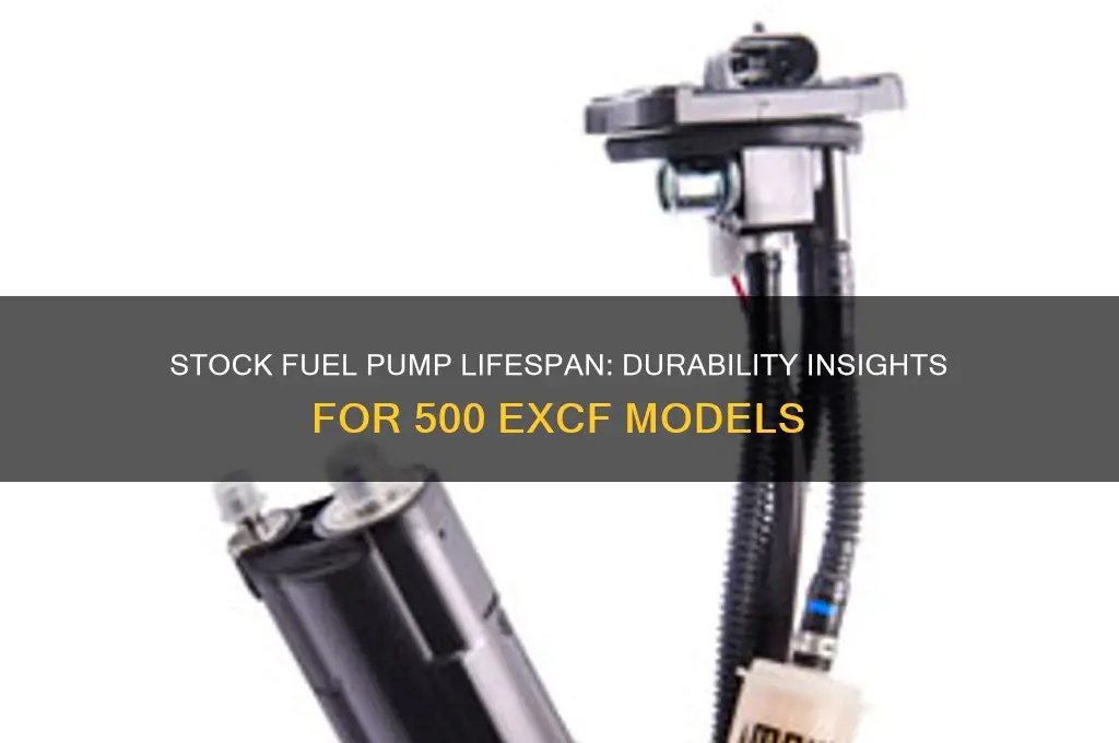 how long does the stock fuel pump last 500 excf