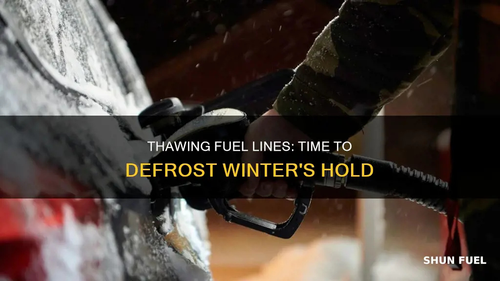 how long for a fuel line to thaw