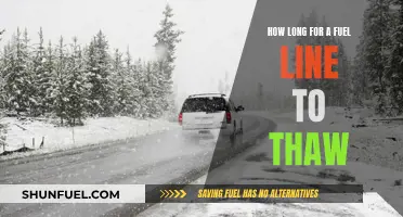 Thawing Frozen Fuel Lines: How Long Does It Take?