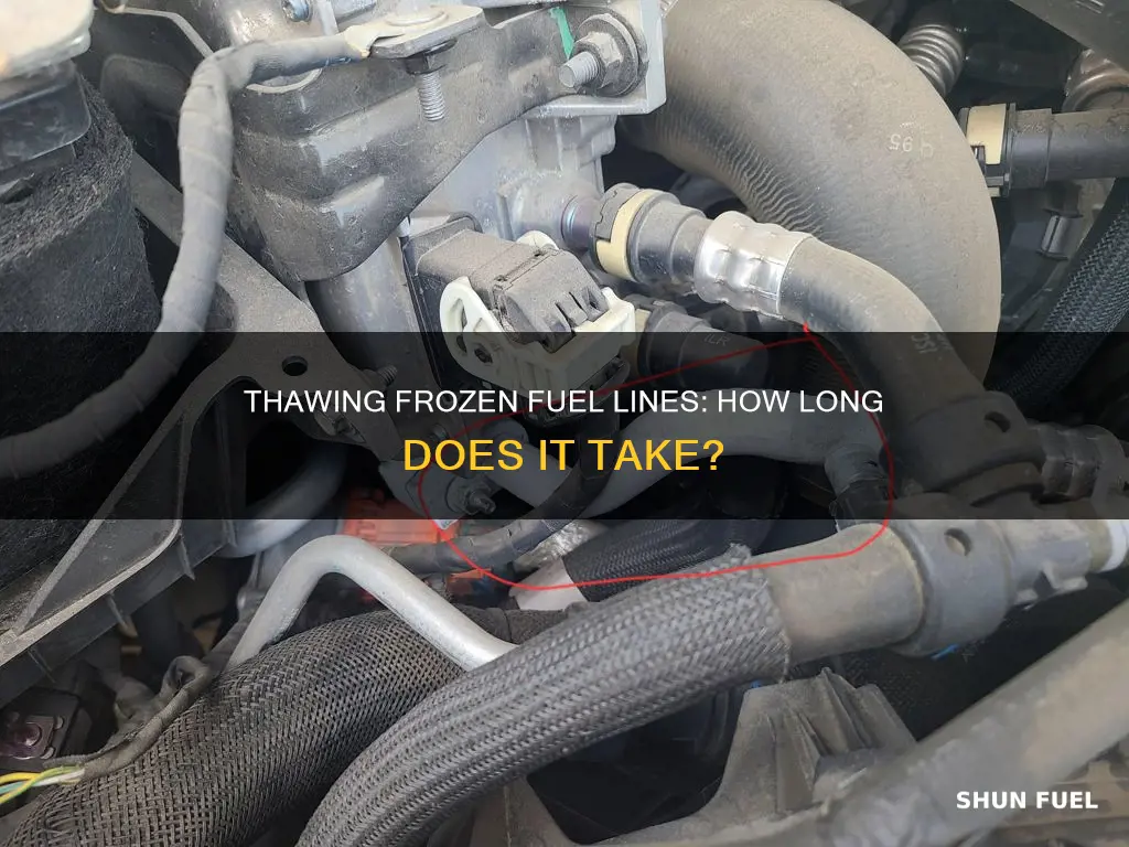 how long for a fuel line to thaw