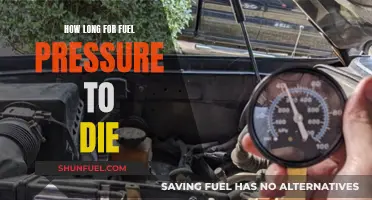 Fuel Pressure Loss: Understanding the Timeline and Causes