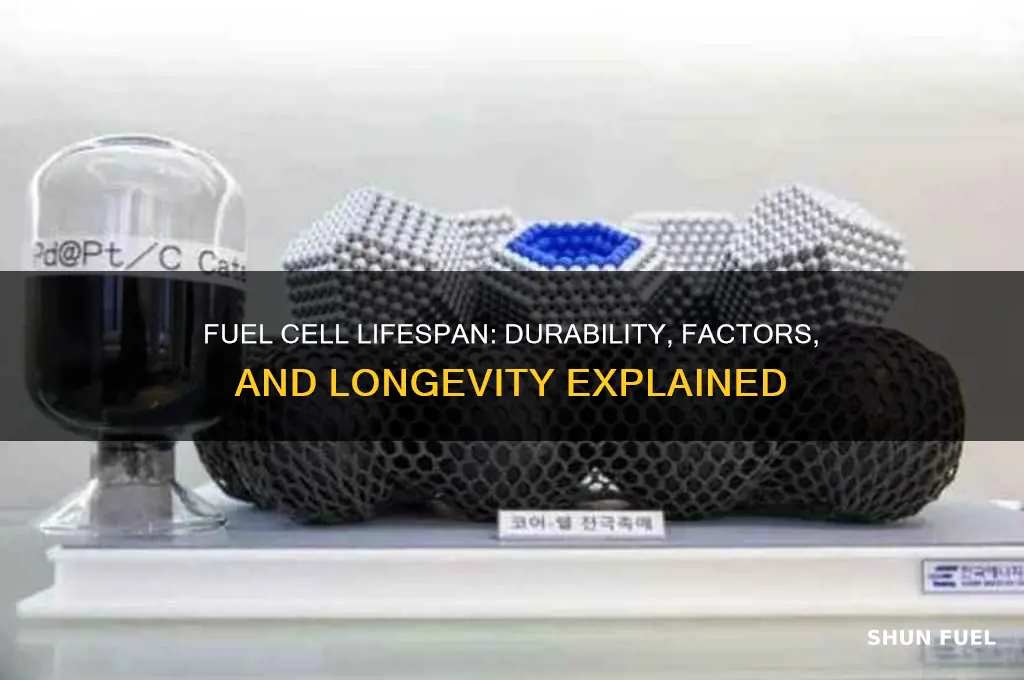 how long fuel cell last