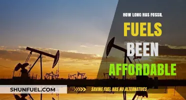 The Affordable Era of Fossil Fuels: A Historical Perspective