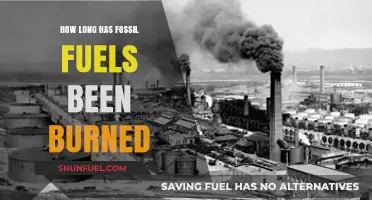 The Historical Timeline of Burning Fossil Fuels: A Comprehensive Overview