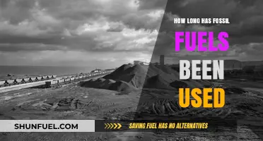 The Long History of Fossil Fuel Usage