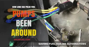 The Evolution and History of Pulse Fuel Pumps: A Timeline