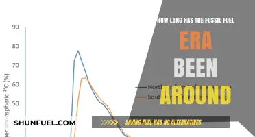 Tracing the Timeline: The Enduring Legacy of Fossil Fuels