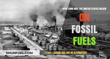 America's Fossil Fuel Dependence: A Historical Overview of Energy Reliance