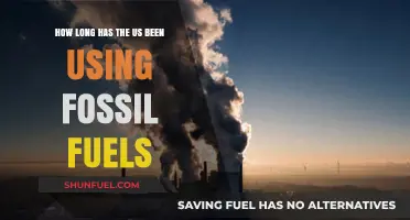 The Enduring Legacy of Fossil Fuels in US Energy History