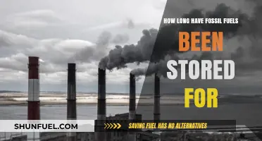 The Ancient Energy Legacy: Fossil Fuels' Millennia-Long Storage Journey