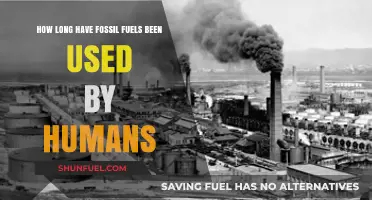 The Historical Journey of Fossil Fuels: Humanity's Energy Evolution