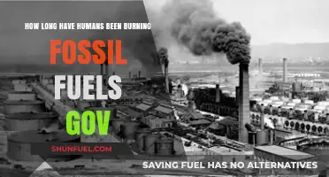 Tracing Humanity's Fossil Fuel Dependence: A Historical Overview