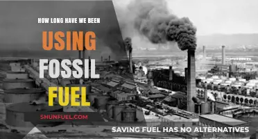 Tracing Humanity's Reliance on Fossil Fuels: A Historical Perspective