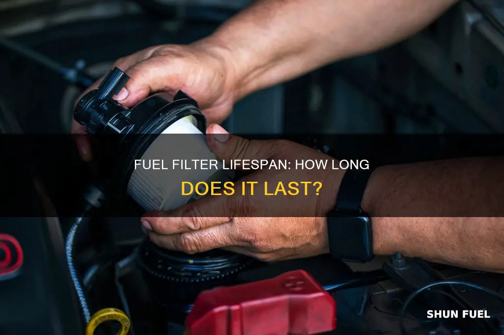 how long is a fuel filter good for