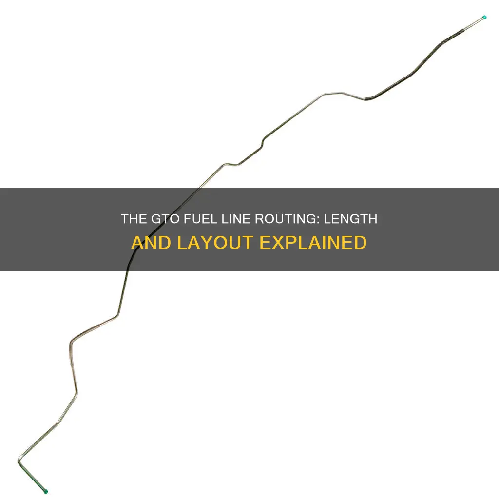 how long is a gto fuel line routing
