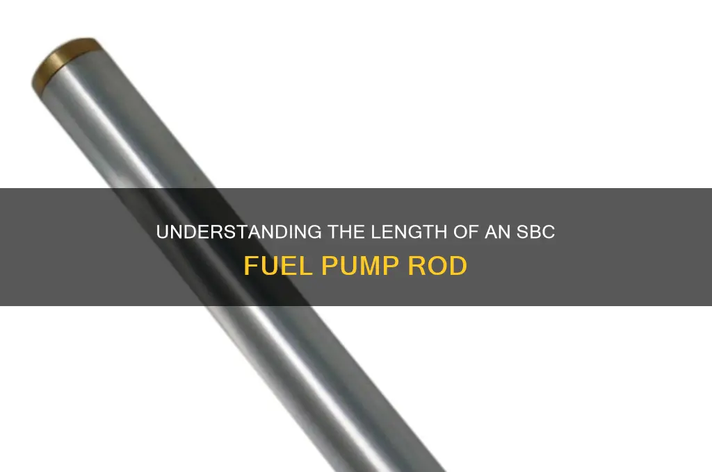 how long is a sbc fuel pump rod