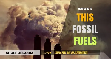 Fossil Fuels' Finite Lifespan: How Much Time Do We Have Left?