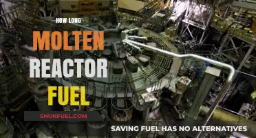 How Long Does Molten Reactor Fuel Remain Hazardous?