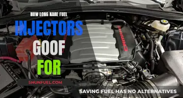 Fuel Injectors: How Long Before They Need Replacing?