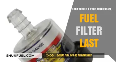 Ford Escape Fuel Filter: How Long Does It Last?
