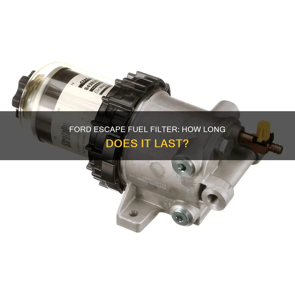 how long should a 2005 ford escape fuel filter last