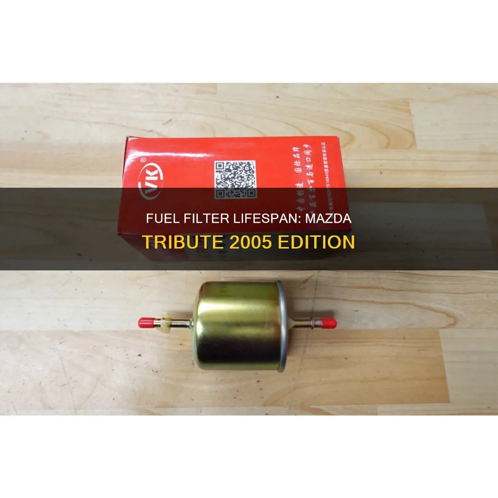 how long should a 2005 mazda tribute fuel filter last