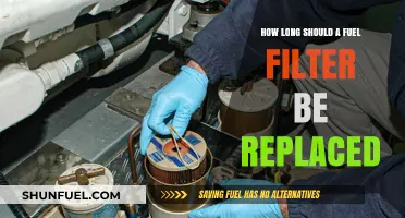 Fuel Filter Replacement: When and Why to Change It