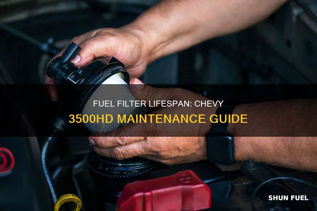 how long should a fuel filter last checy 3500hd