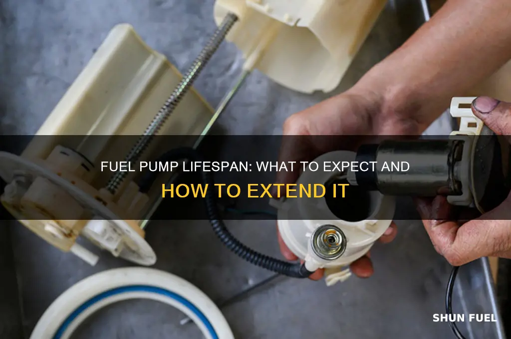 how long should a fuel pump last