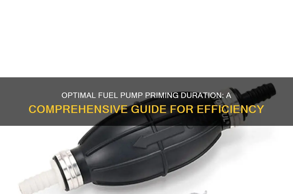 how long should a fuel pump prime