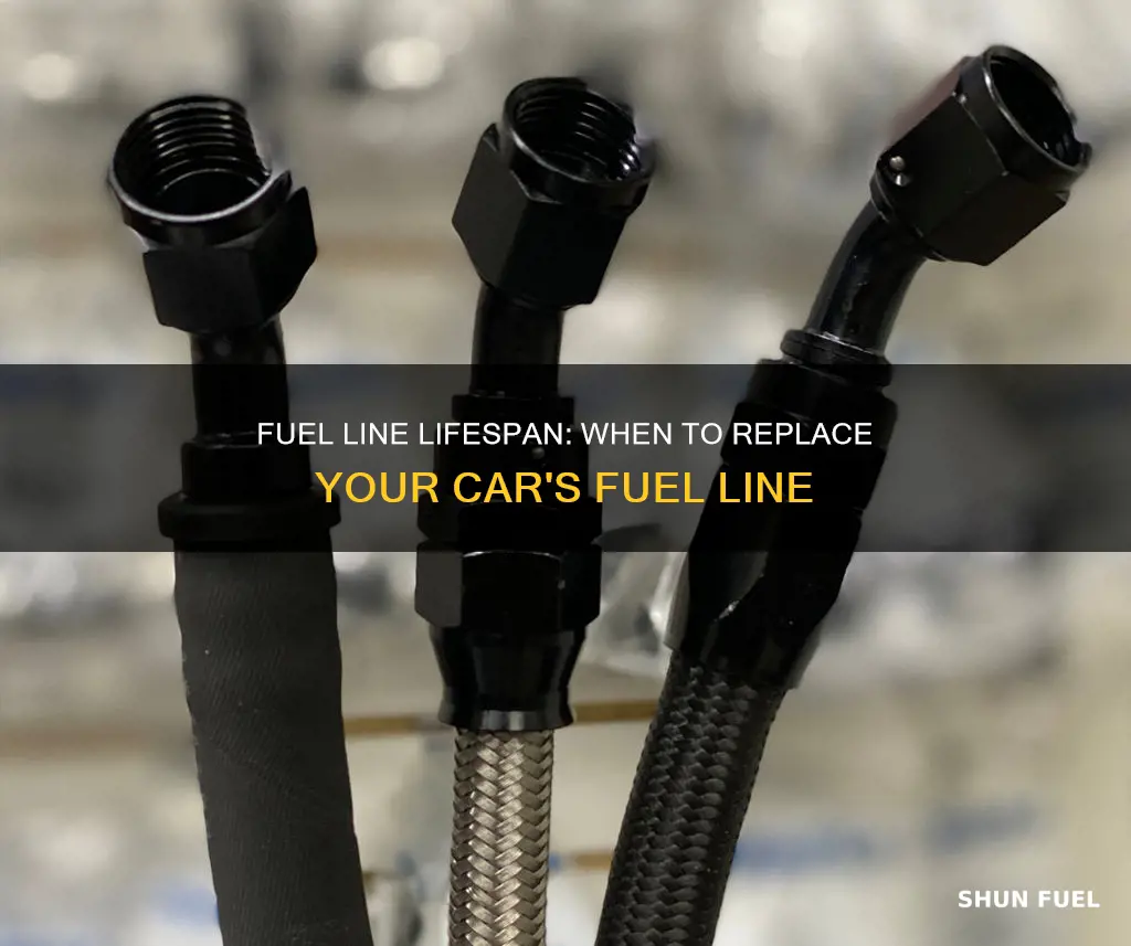 how long should fuel line in a car last