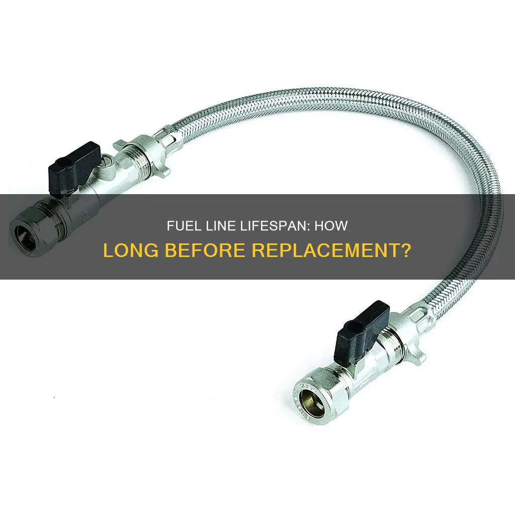 how long should fuel line in a car last