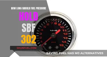 Fuel Pressure Retention: SBF 302 Engine's Ideal Duration