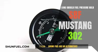 Fuel Pressure Maintenance: SBF Mustang 302's Holding Time