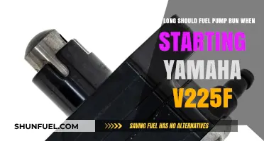 Optimal Fuel Pump Runtime for Yamaha V225F Engine Start-Up