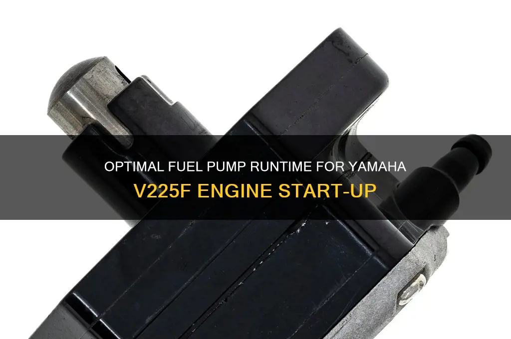 how long should fuel pump run when starting yamaha v225f