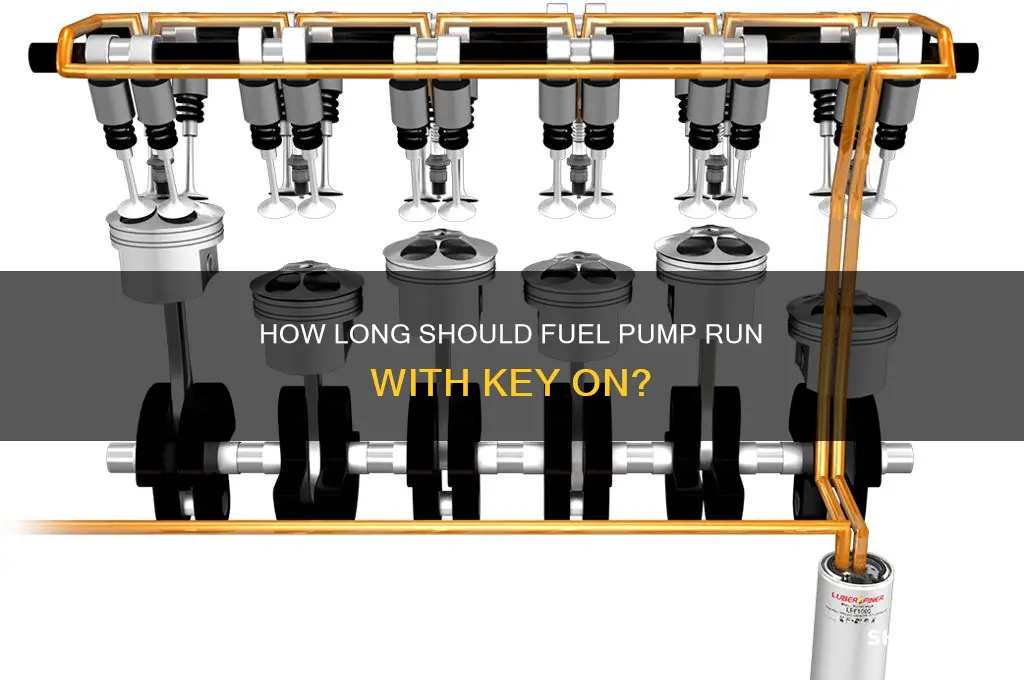 how long should fuel pump run with key on