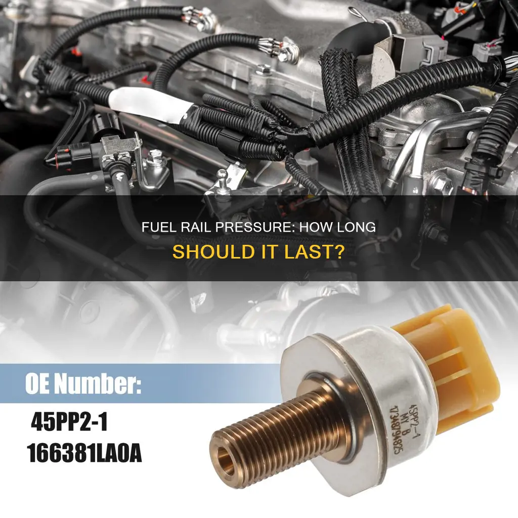 how long should fuel rail hold pressure