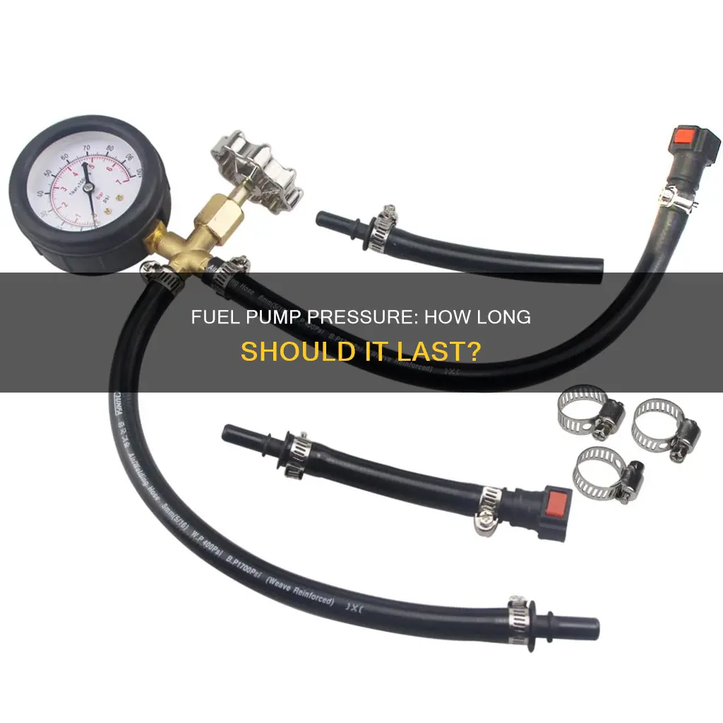 how long should low pressure diaphram fuel pump hold pressure