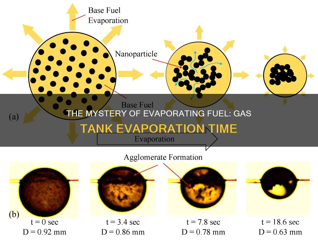 how long til fuel evaporates from gas tank