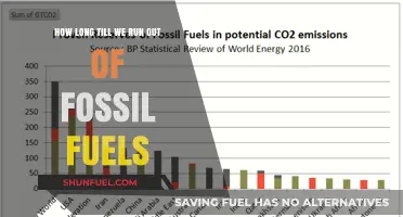 The End of Fossil Fuels: When Will It Happen?