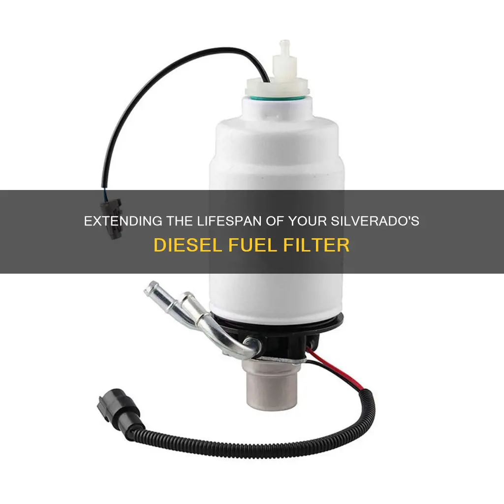 how long to diesel fuel filters last silverado