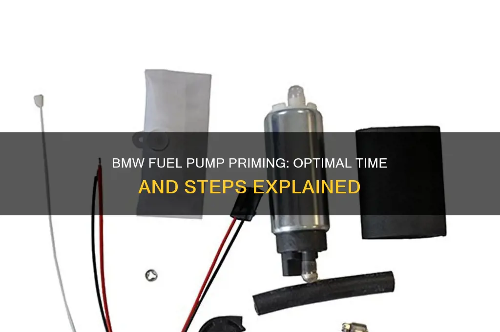 how long to prime fuel pump bmw